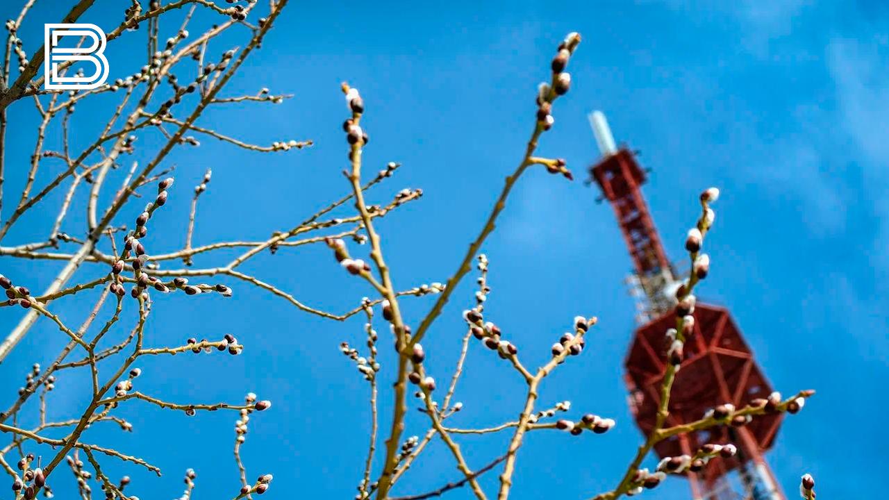 Прогноз погоды по Мурманской области на 18 апреля