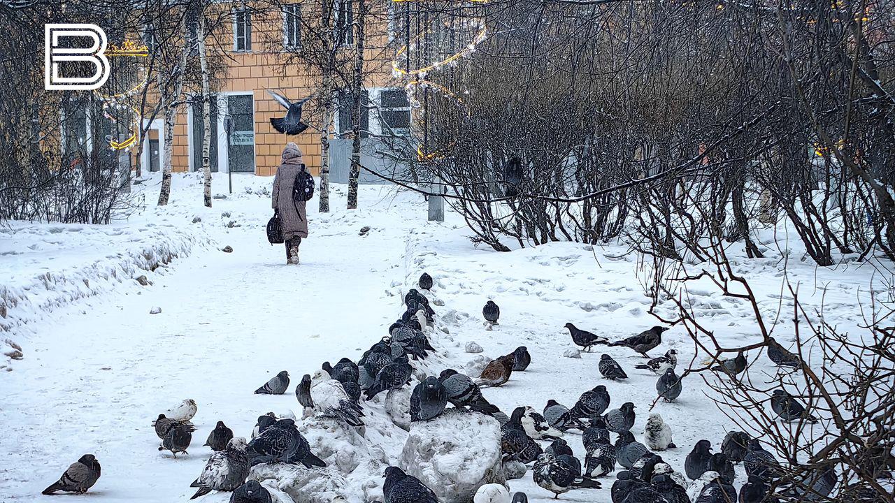 В Мурманской области проекты по укреплению национального единства могут получить грант