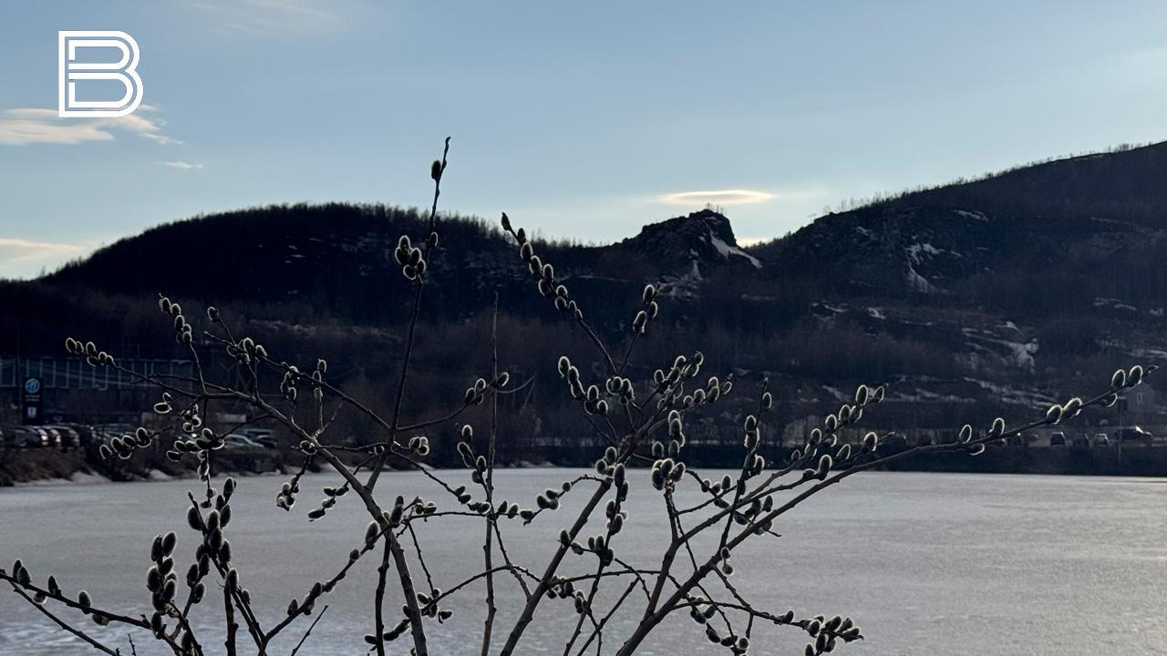 В Мурманской области 30 апреля потеплеет до 8 градусов