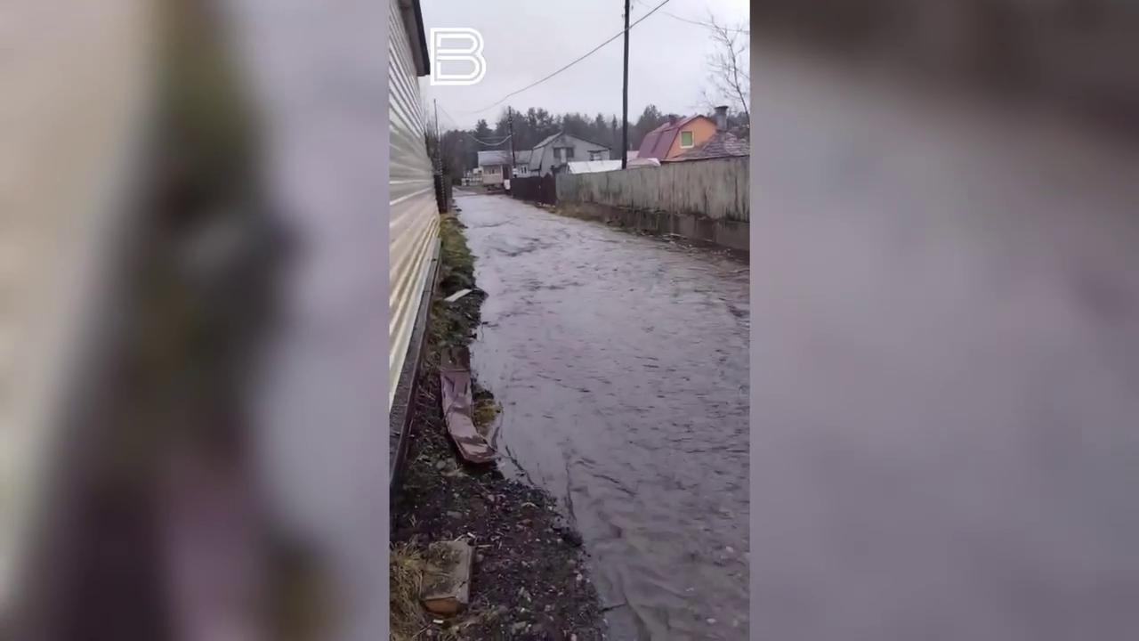 Дома на воде: в СНТ "Родники" подтопило участки 
