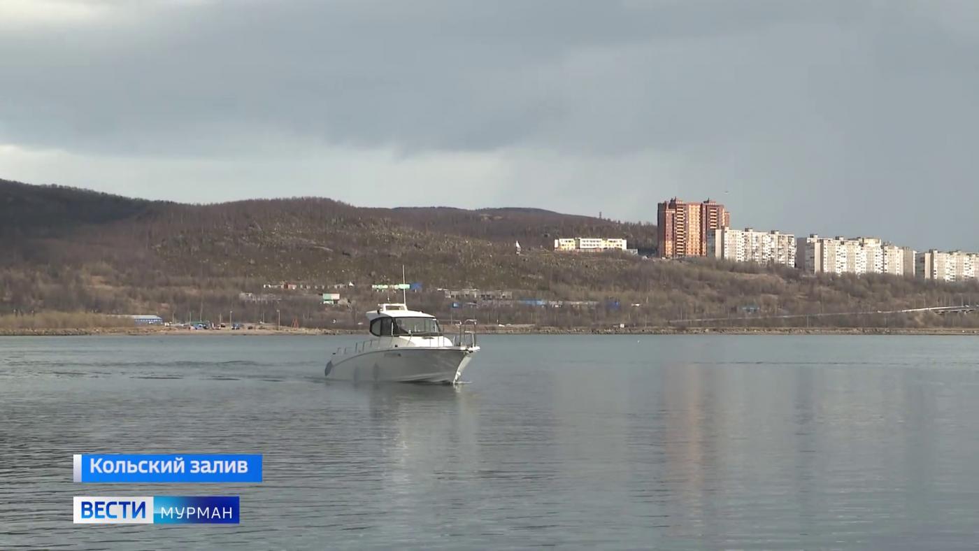Киты, олени и морские пейзажи: в Мурманской области начался сезон морских прогулок