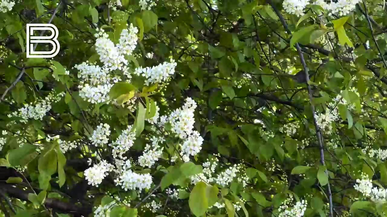 Погода порадует жителей Мурманской области теплом и ясным небом 3 июня