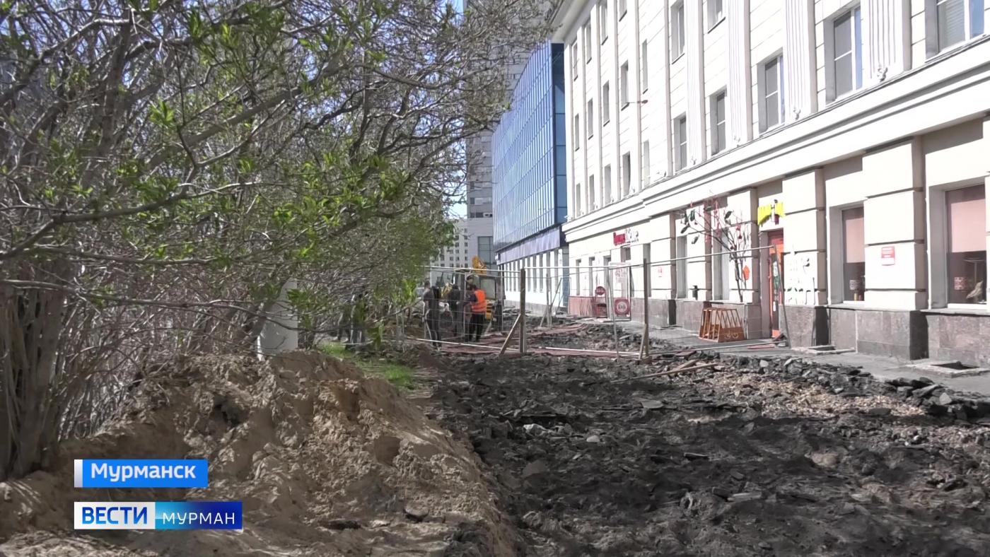 Вторая жизнь сирени: деревья на проспекте Ленина в Мурманске пересаживают