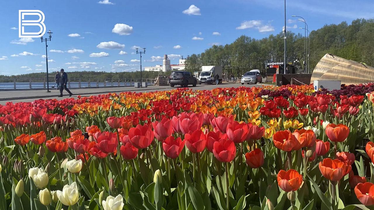 Воздух в Мурманской области 4 июня прогреется до 19 градусов тепла