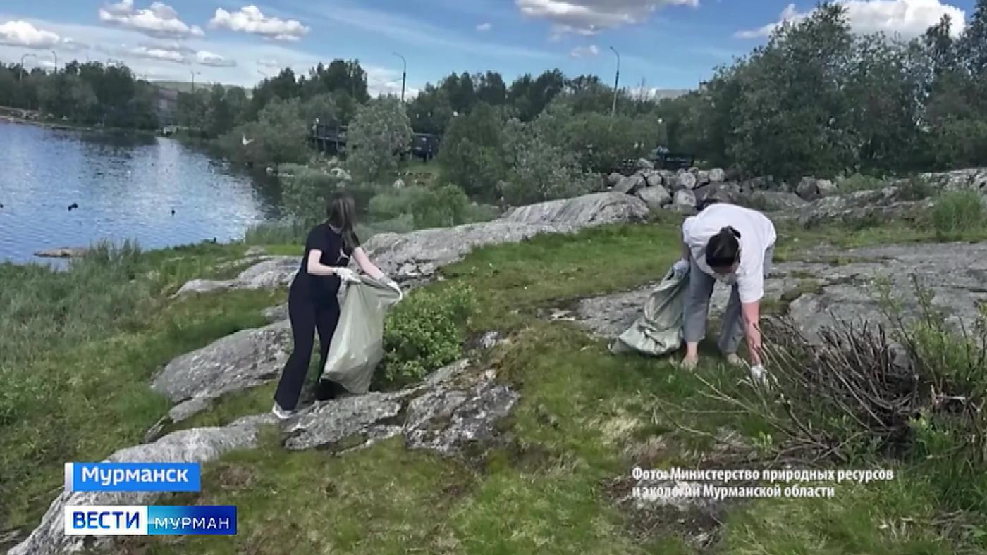 Берег озера Глубокого в южной части Мурманска очистили от мусора