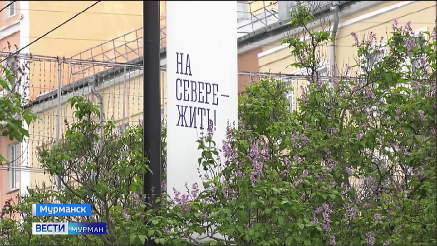 Зеленый облик Мурманска будут совершенствовать вместе с развитием городской инфраструктуры