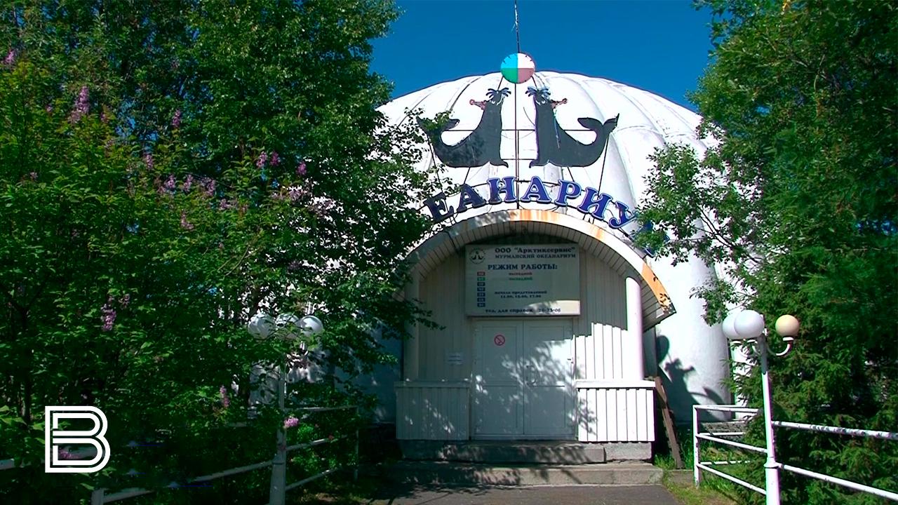 Для мурманского океанариума все неравнодушные северяне собрали почти 2,8 млн рублей