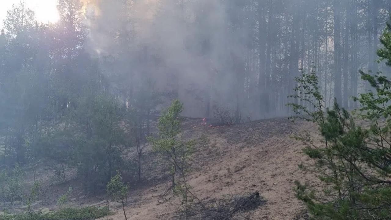 Природный пожар ликвидировали в окрестностях Заполярного