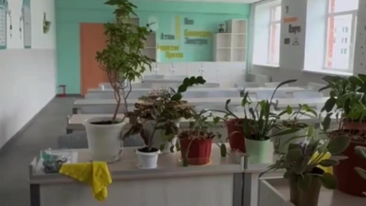 Школу в Зеозерске ждет ремонт