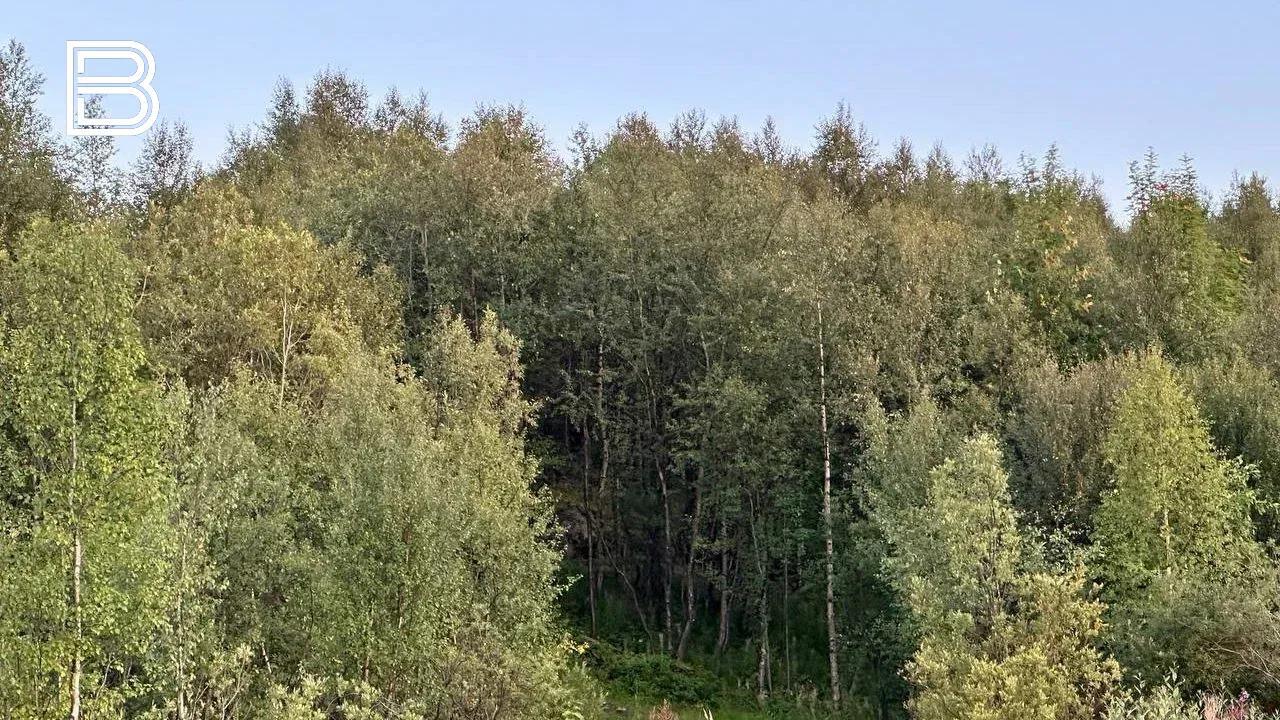 В Мурманске, Печенгском, Кольском и Ковдорском округах ожидается чрезвычайный класс пожарной опасности