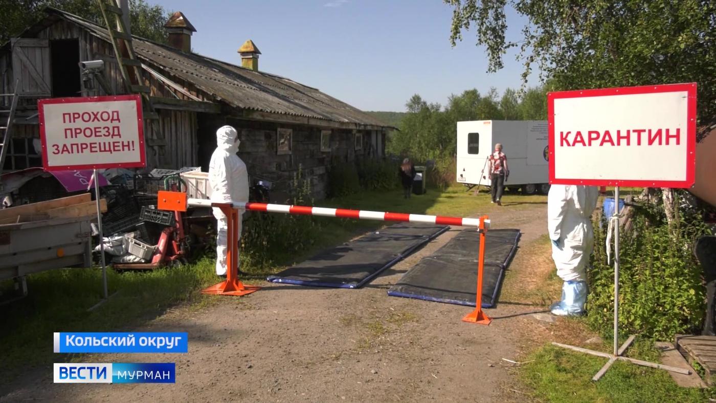 Подготовка к ликвидации вспышек чумы и ящура прошла в Кольском округе