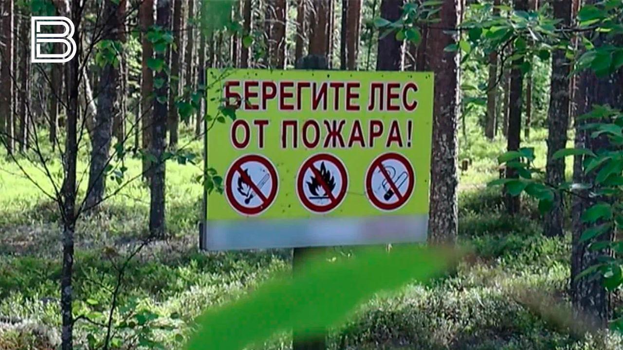 Повышенный класс пожарной опасности вводится на юге Мурманской области с 22 по 23 августа