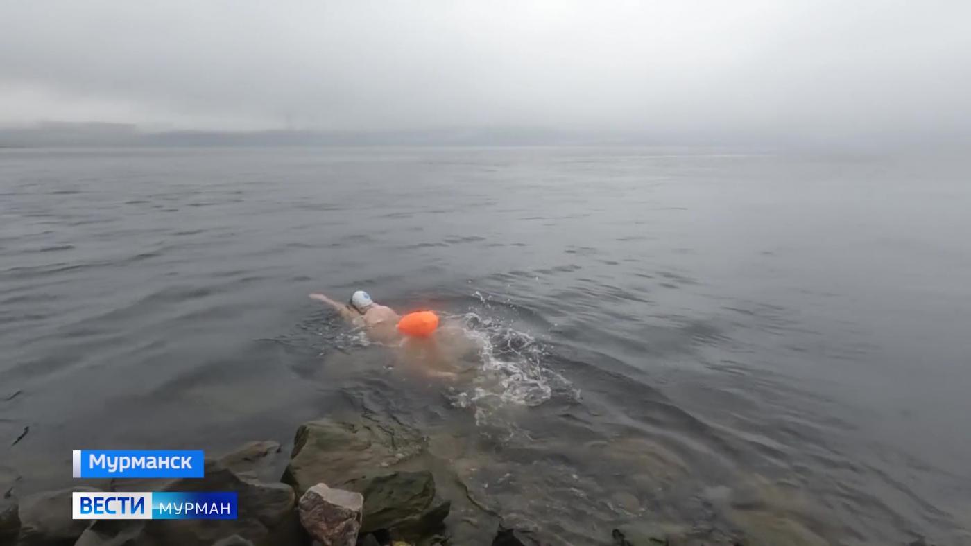 Подготовка к фестивалю спорта "Гольфстрим" в Мурманске вошла в активную фазу