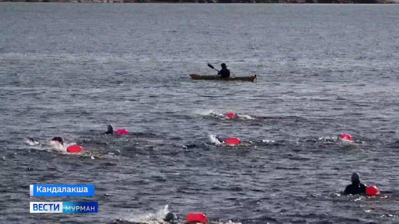 "Белое море": заполярные пловцы состязались на открытой воде в Кандалакше