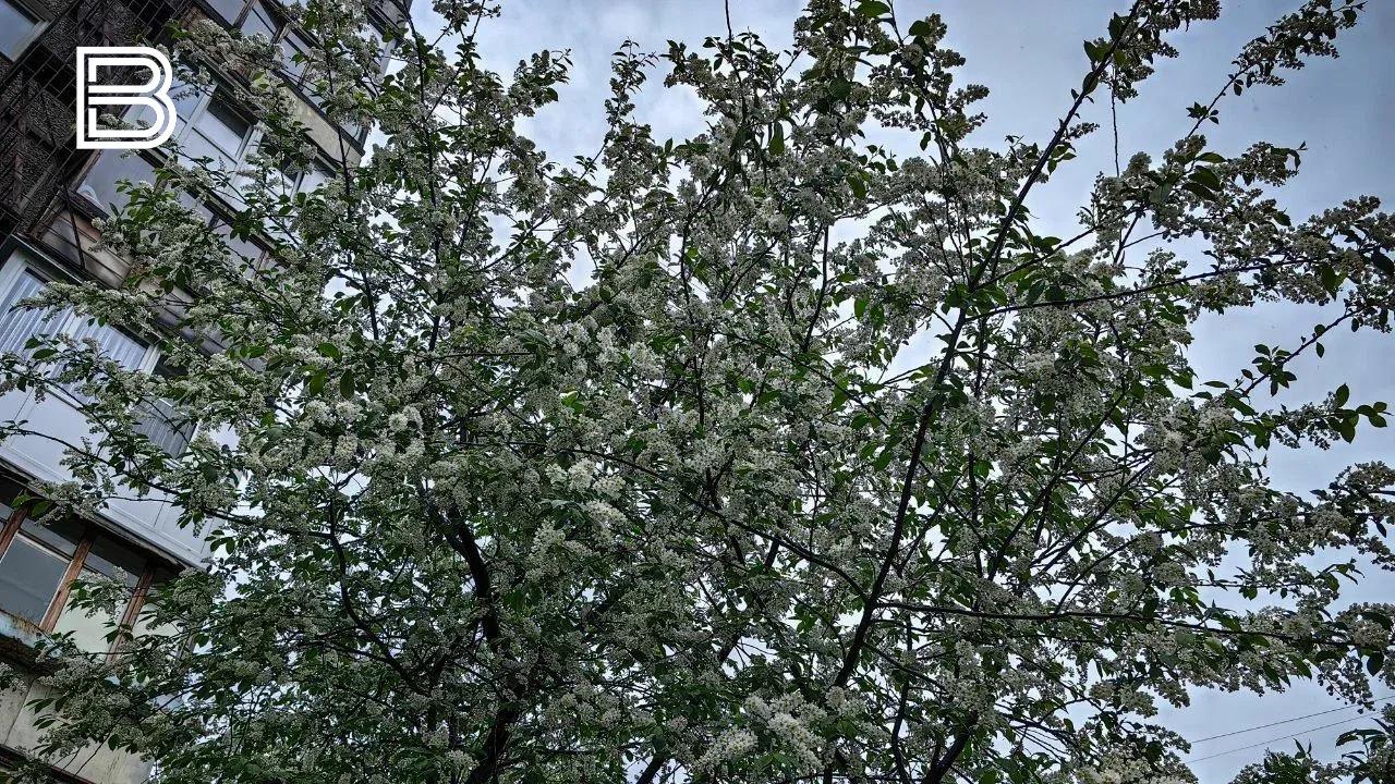 Прогноз погоды по Мурманской области на 28 августа