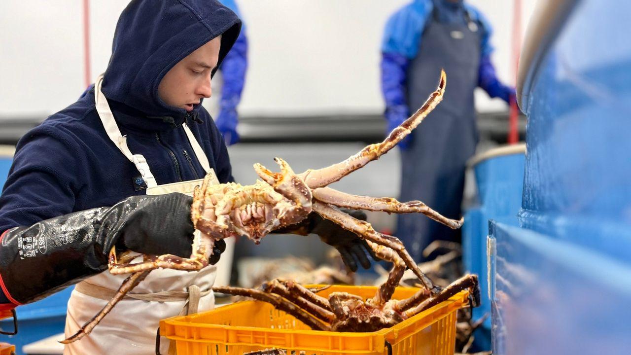 Мурманская компания впервые отправила живого краба в Китай через Казахстан