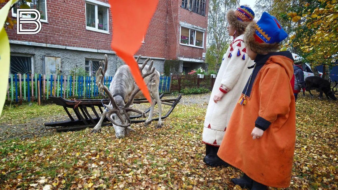 Традиционные Саамские игры прошли в Кольском округе