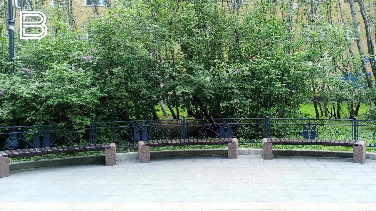 В Мурманске 12 сентября пройдет акция "Зеленый рекорд"