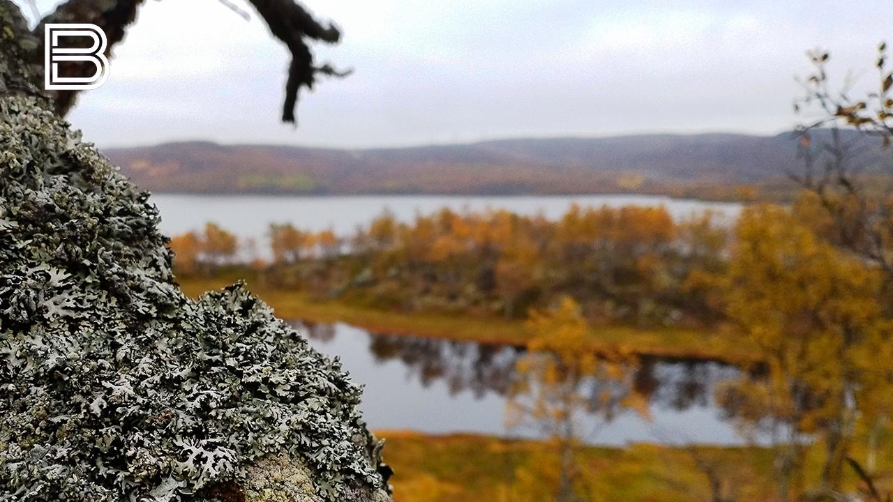 Прогноз погоды по Мурманской области на 14 сентября