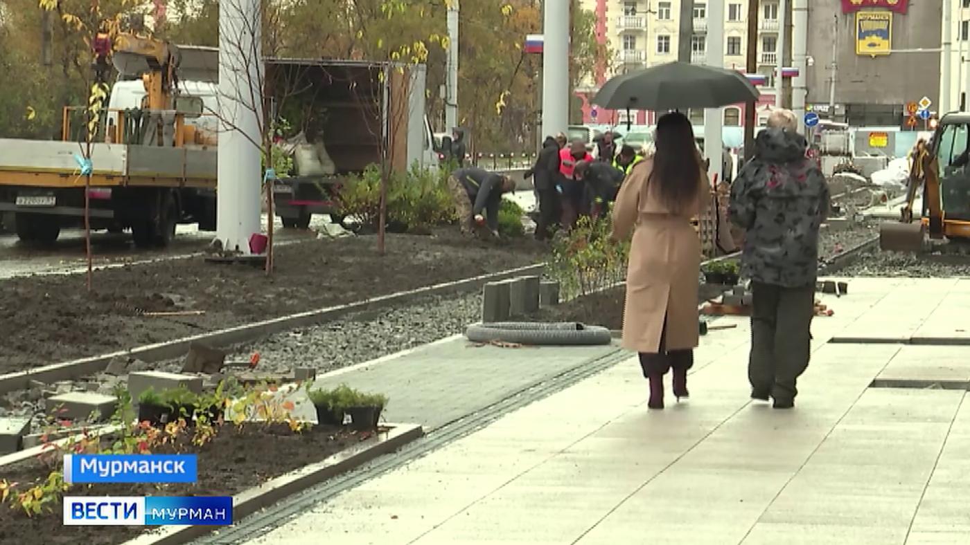 В центре Мурманска высаживают новые многолетние растения